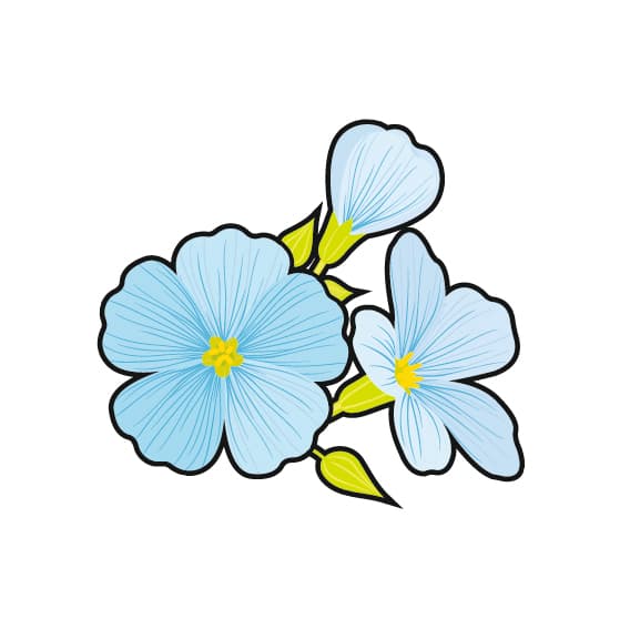 BLUE FEEL GOOD Fresh Linen-Duft Duft