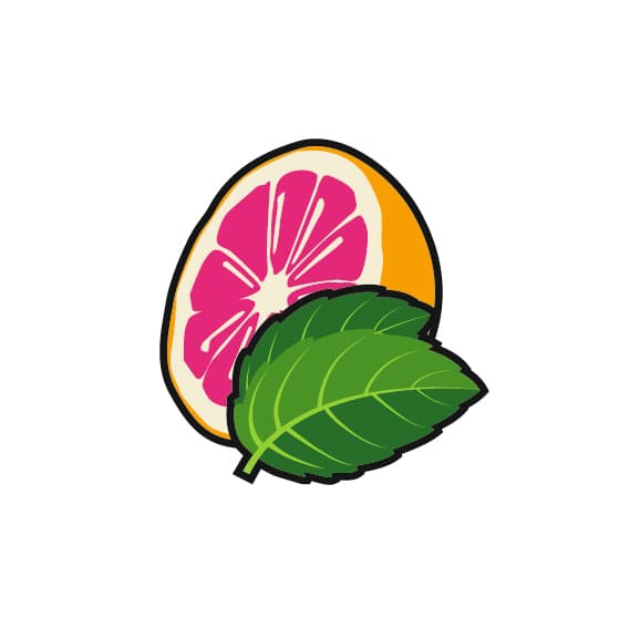 PINK EUPHORIA Grapefruit-Minze-Duft Duft