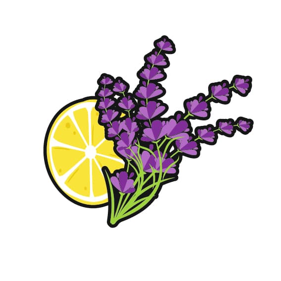 VIOLET CHILL OUT Lavendel-Citrus-Duft Duft
