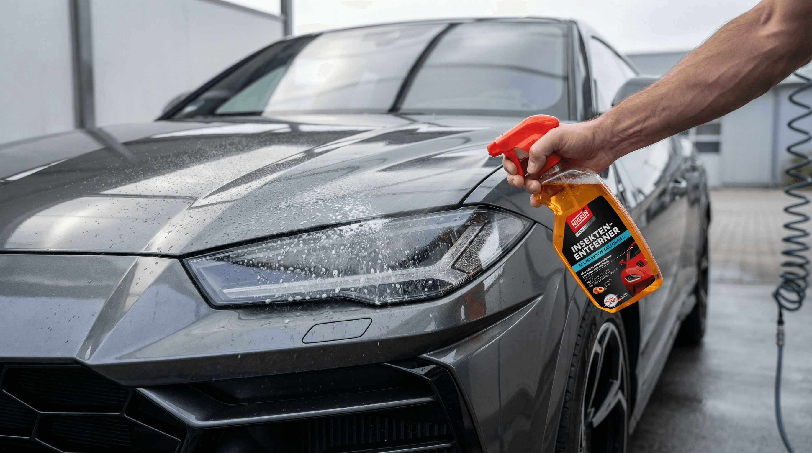 NIGRIN PERFORMANCE Insektenentferner