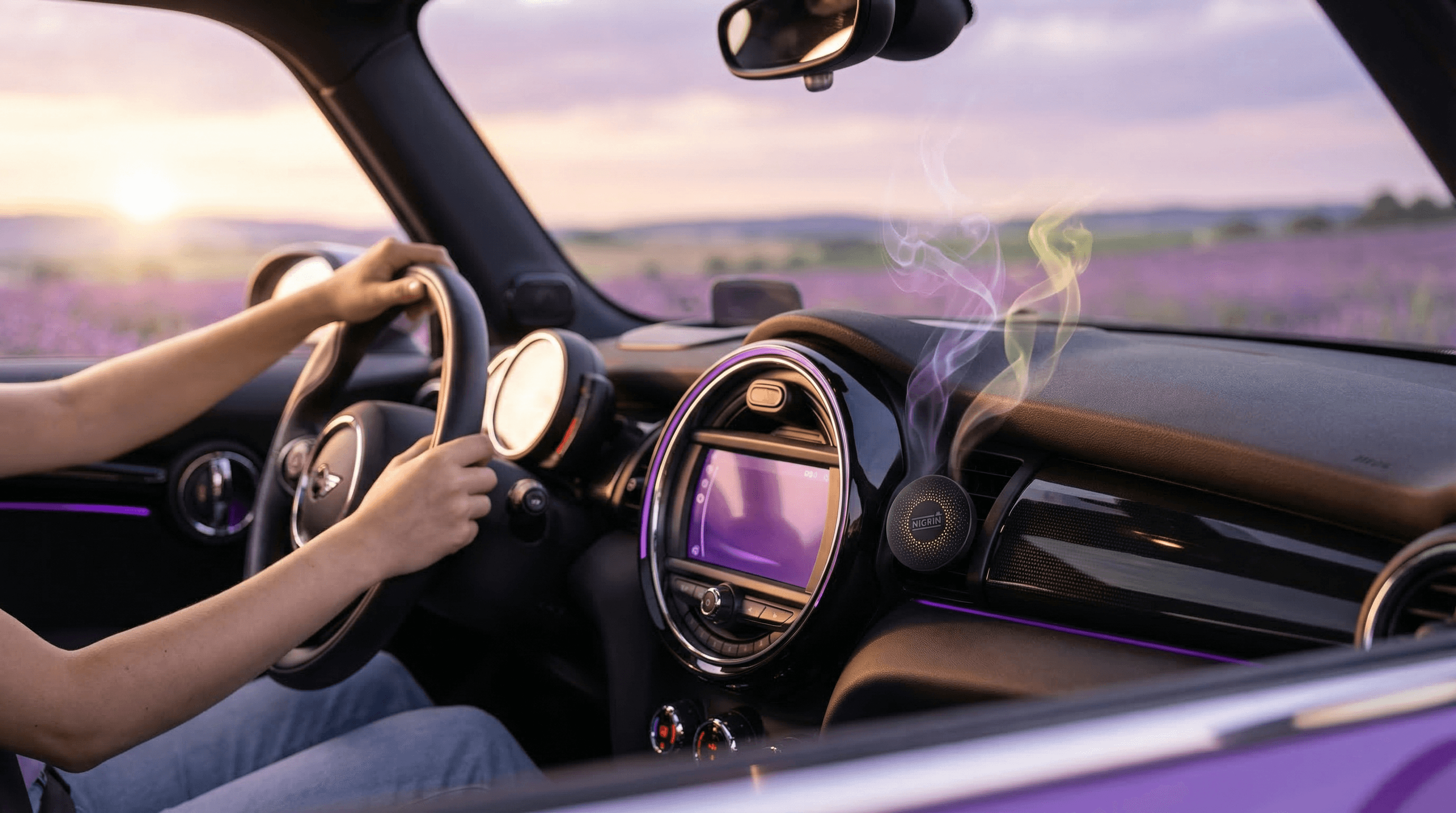 NIGRIN POWER Insektenentferner