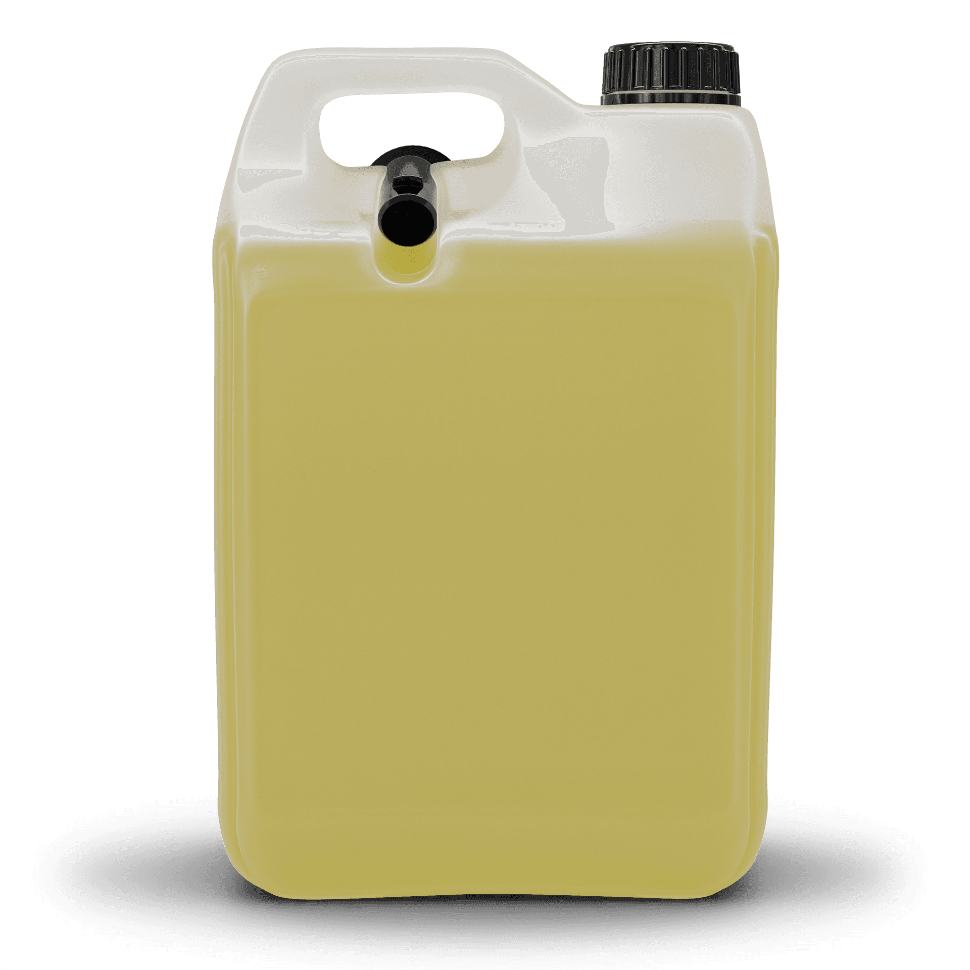 PROFESSIONAL Windshield Cleaner Summer Concentrate 1:10 5 L